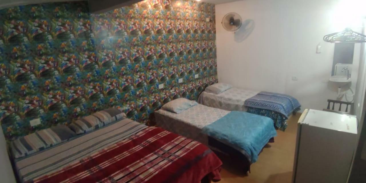 Nomadehostel - Vila Madalena 圣保罗 外观 照片